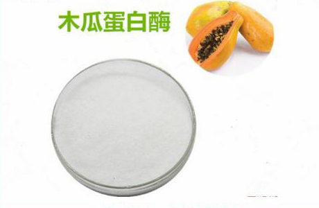 工业植物提取木瓜蛋白酶最新报价及市场分析