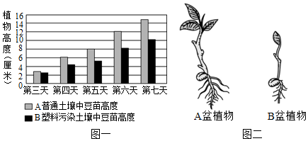 工业植物提取瑰宝 海藻酸钠的特性与应用