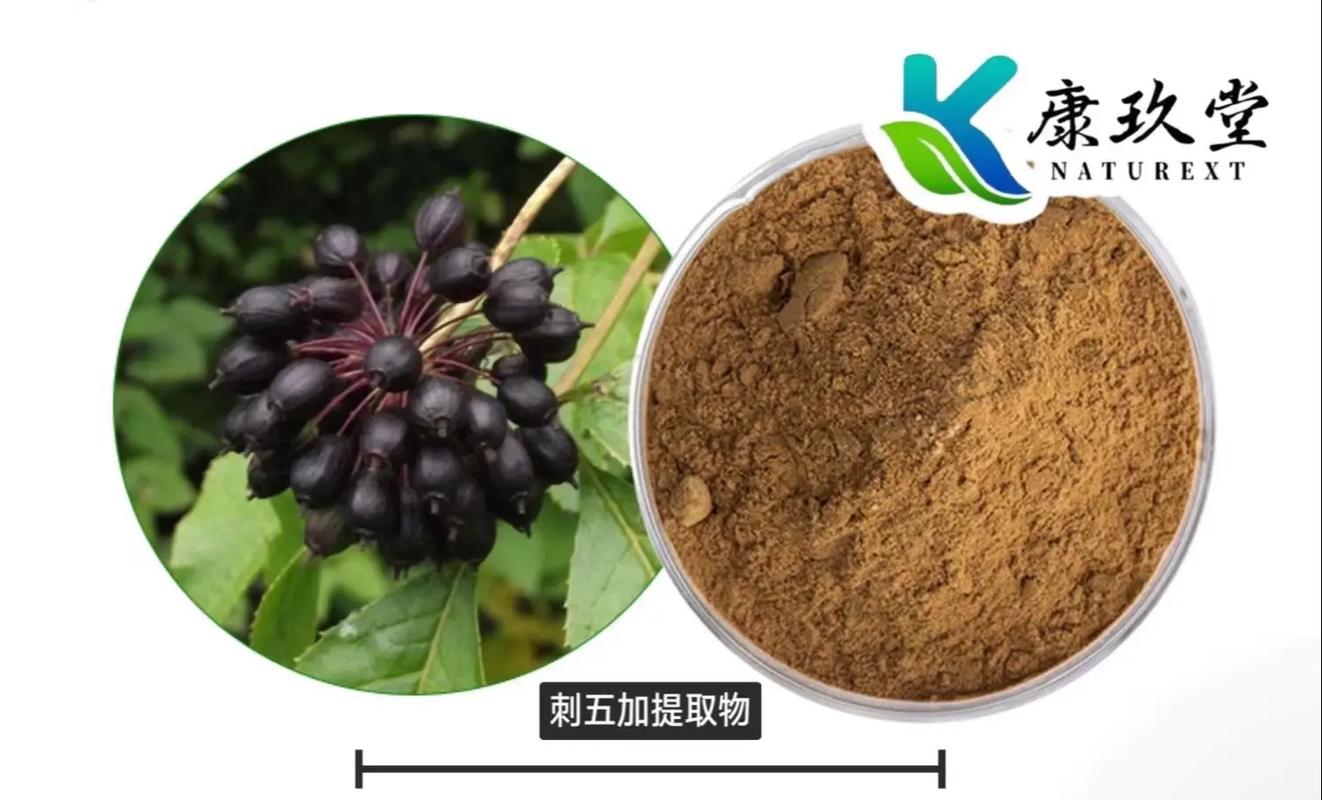 工业植物提取 赋能绿色发展的现代产业引擎