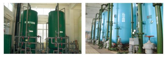 离子交换技术在五味子果实提取液工业植物提取中的应用